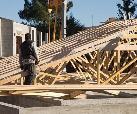 Pose et traitement charpente
